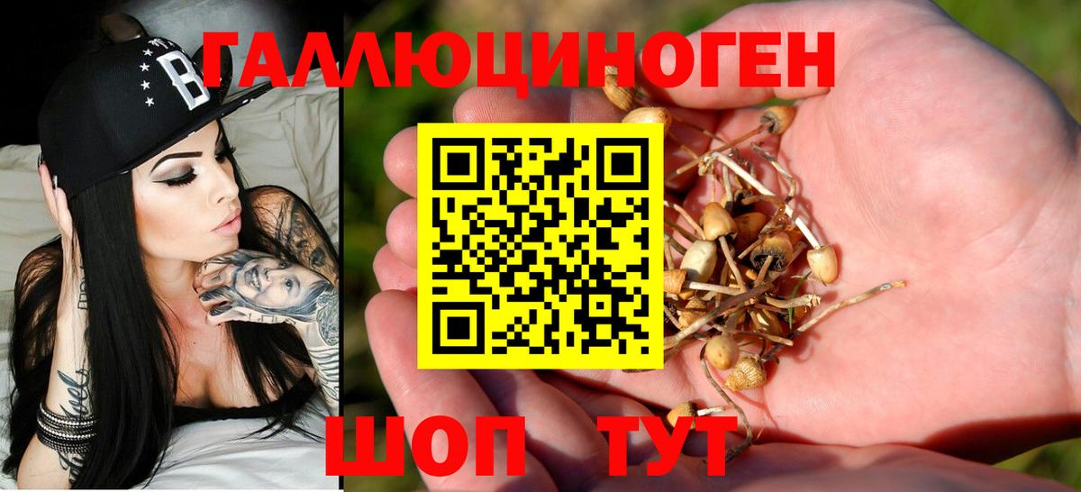 Псилоцибиновые грибы MAGIC MUSHROOMS Новоалтайск