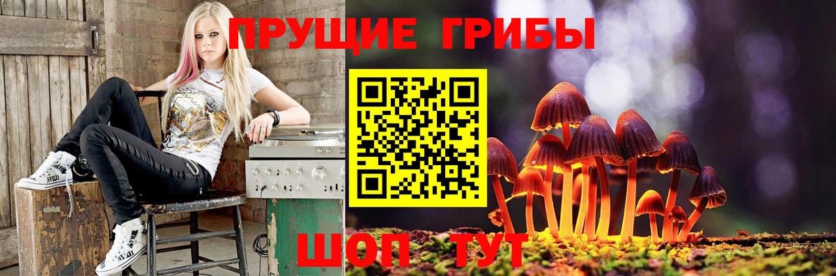 Псилоцибиновые грибы прущие грибы  Вход с VPN  Псилоцибиновые грибы мицелий  Новоалтайск 